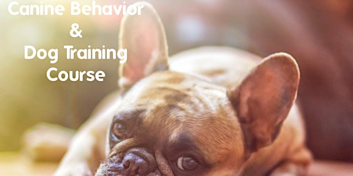 Canine Behavior & Training Course