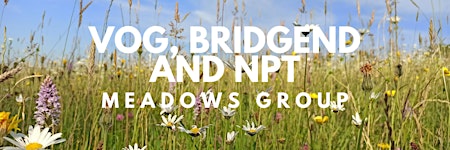 Meadow Management - Site Visit in Bridgend
