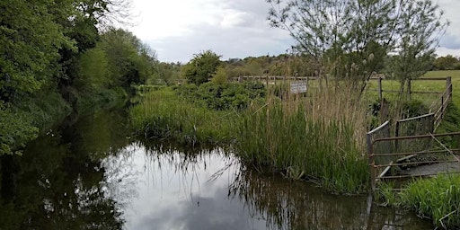 Walking Tour - The River Lea Part Three - To The Camp of the Catuvellauni primary image