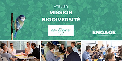 Image principale de Atelier Mission Biodiversité (en ligne)