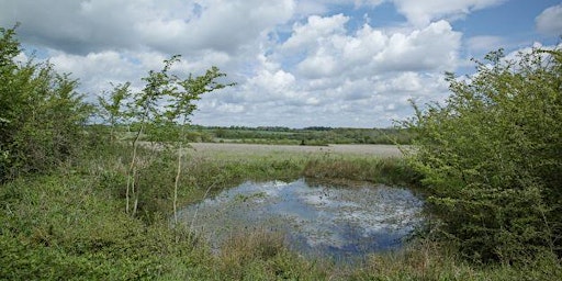 An Invitation to Black Bourn Valley Nature Reserve primary image