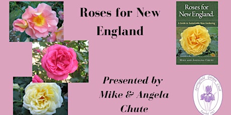Roses for New England