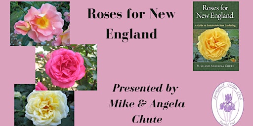 Roses for New England