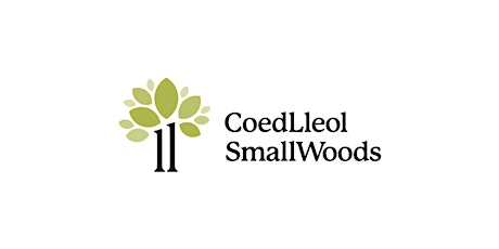 Coed Lleol Woodland Group (Easy Access) / Grŵp Coetir (Hygyrch)