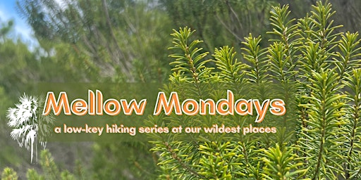 Mellow Mondays Hike at Lake Rogers Conservation Park