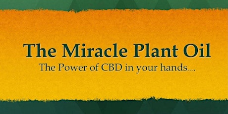 The Miracle Plant Oil - Discover The Truth about CBD Oil primary image