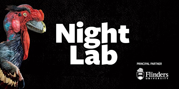 Night Lab