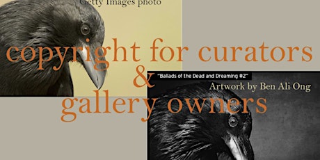 Copyright for Curators & Gallery Owners primary image
