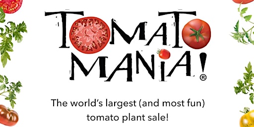 TomatoMania!
