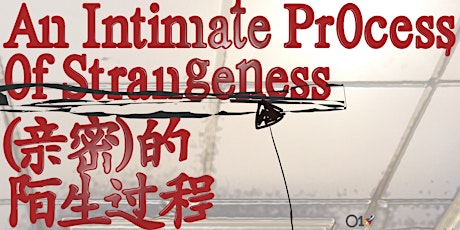 Exhibition: An Intimate Process  of Strangeness