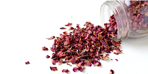 Introduction to Herbal Teas primary image