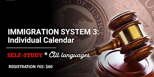 Imagen principal de IMMIGRATION SYSTEM 3: Individual Calendar (*All languages) SELF-STUDY