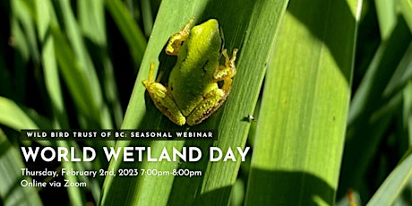 World Wetland's Day at Maplewood Flats