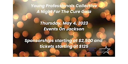 Young Professionals Collective Gala