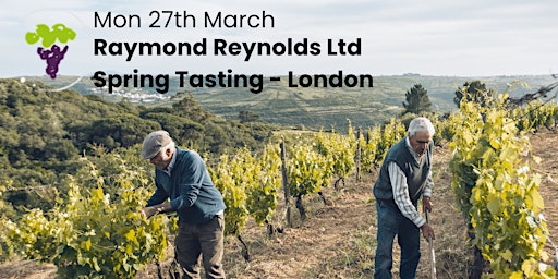 Raymond Reynolds Ltd Spring Tasting London