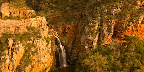 Waterfall - Yoga, Hike and Morning Tea primary image