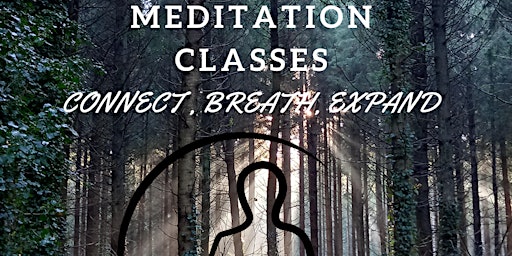 Meditation Six Sessions
