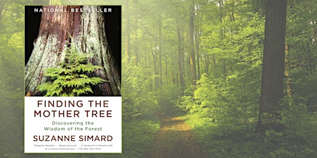 February Book Club: Finding the Mother Tree by Suzanne Simard