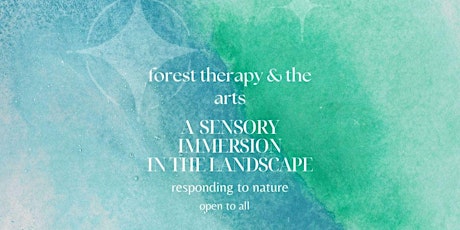 Forest Therapy & the Arts - A sensory immersion in nature