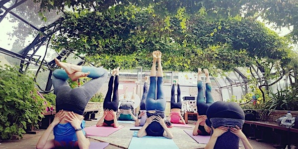 Glasshouse Yoga