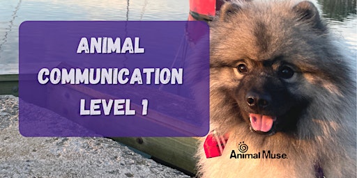 Animal Communication Level 1