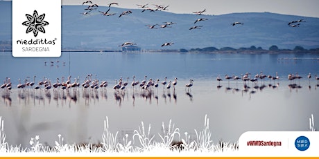 Fitwalking a Corru Mannu per celebrare il World Wetlands Day Sardegna 2023