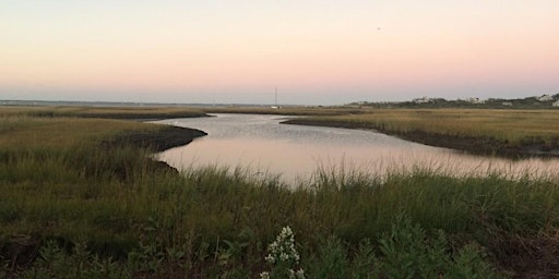 Guided Wellness Walks – with the Nantucket Land Council