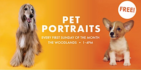 FREE Pet Portraits at Precision Camera in The Woodlands