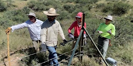 Cattle Exclusion Fencing in Huachuca Foothills: Mesa Tank