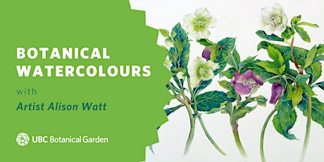 Botanical Watercolours with Alison Watt primary image