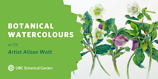 Botanical Watercolours with Alison Watt