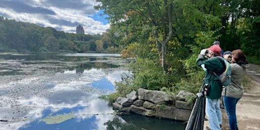 Birding with NYC Audubon primary image