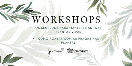 Workshop 1 | Os segredos para manteres as tuas plantas vivas