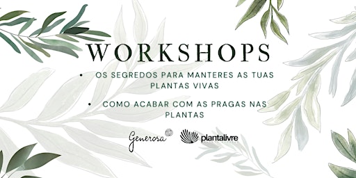 Workshop 1 | Os segredos para manteres as tuas plantas vivas