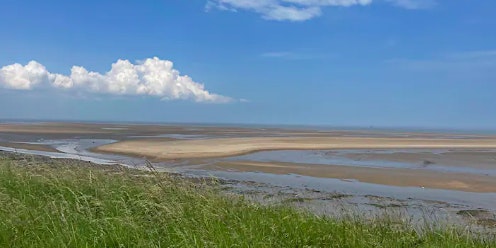 Dance Free at Humberston Fitties Beach, Cleethorpes primary image