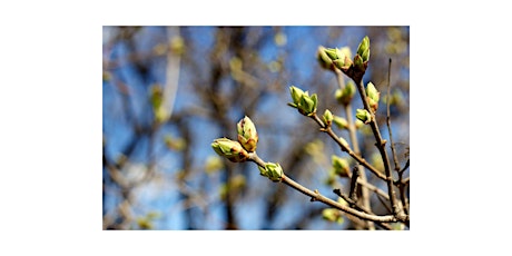 Signs of Spring: Pipes Cove Preserve Nature Walk
