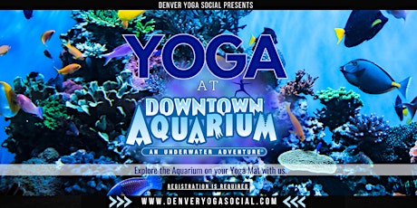 Yoga at the Downtown Aquarium in Denver with Denver Yoga Social