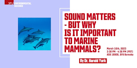 Sound Matters - but why is it important to marine mammals?