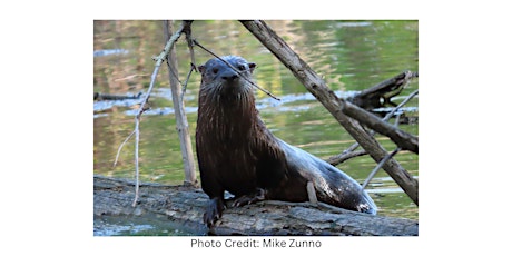 All About Otters: Arshamomaque Preserve Nature Walk