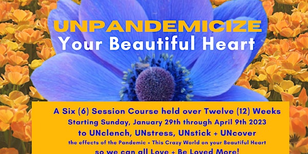 UNpandemicize Your Beautiful Heart in 2023 -  a Six (6) Session Course
