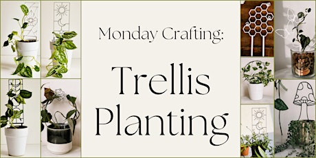 Monday Crafts: Propagating & Planting Succulents on a Trellis