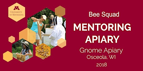 2018 UMN Bee Squad Mentoring Apiary at The Gnome Apiary primary image