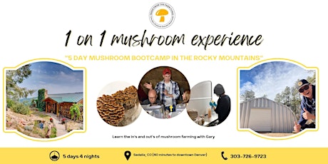 THE 1-ON-1 MUSHROOM EXPERIENCE (5 DAY BOOT CAMP)