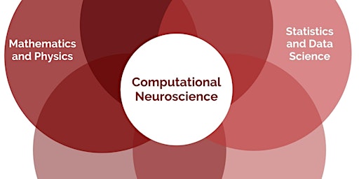 "Theoretical & Computational Neuroscience" with  Aishwarya H. Balwani