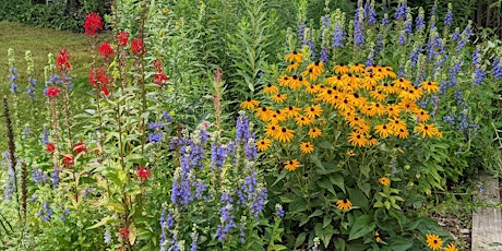 Native Plants 1-2-3: Plan & Plant, Pollinators, & Preparing for Winter