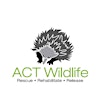 Logotipo de ACT Wildlife