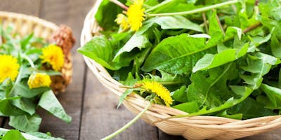 Edible weeds walk and talk