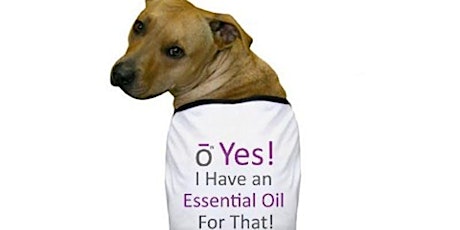 Essential Oils of Pets