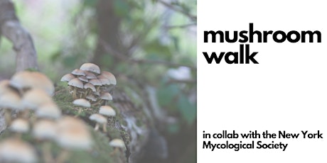 Mushroom Walk (with New York Mycological Society)