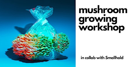 Mushroom Growing Workshop